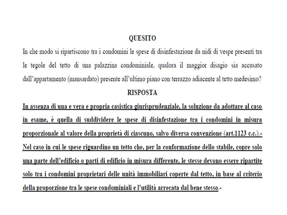 presentazione_sciame_di_api_960